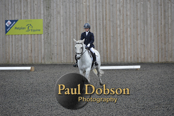 dressage-5979