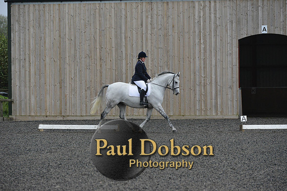 dressage-5960