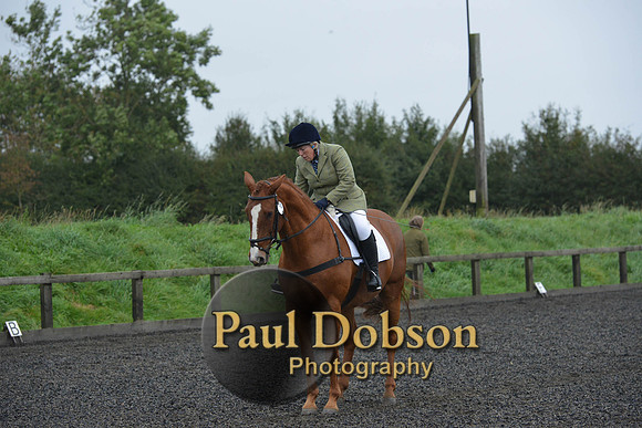 dressage-6312