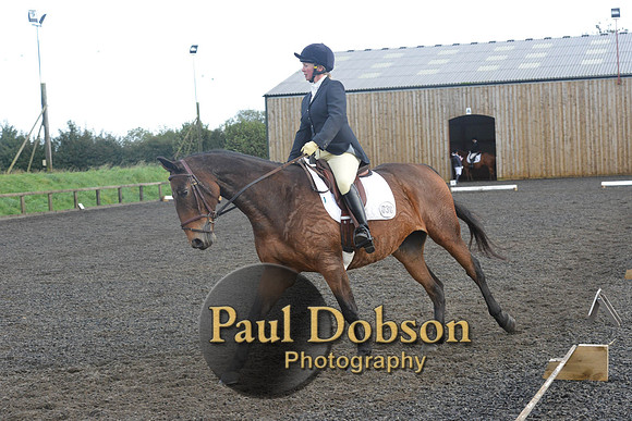 dressage-7288