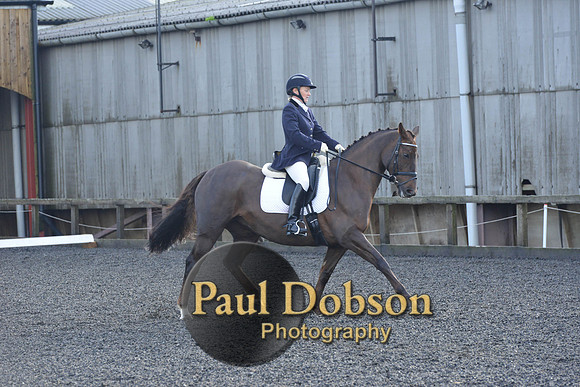 dressage-6871