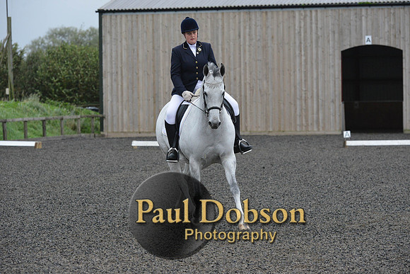 dressage-5954