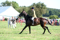 c12_1501