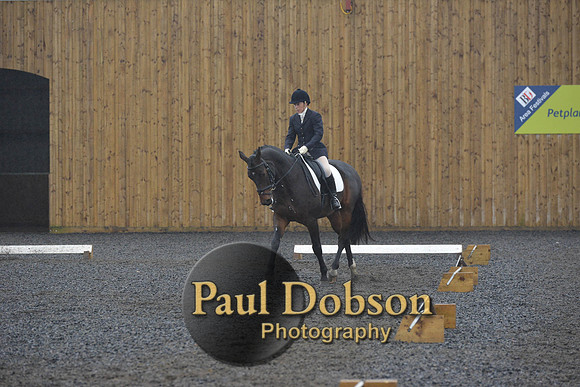 dressage-6608