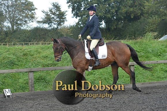 dressage-7268