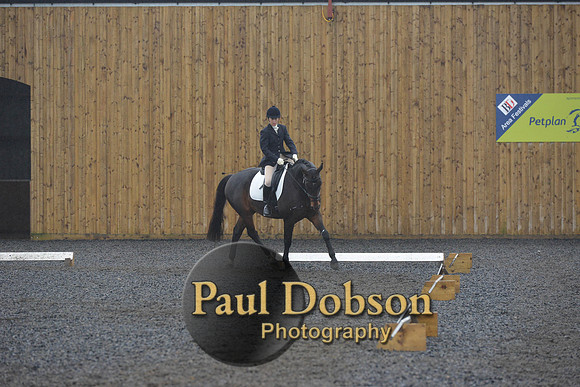 dressage-6607