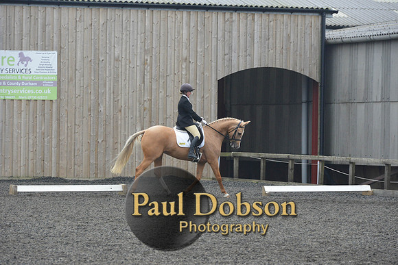 dressage-5756