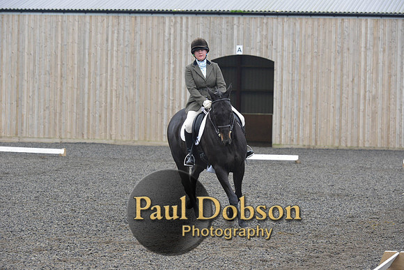 dressage-5221