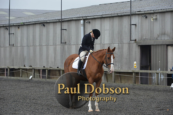 dressage-4530