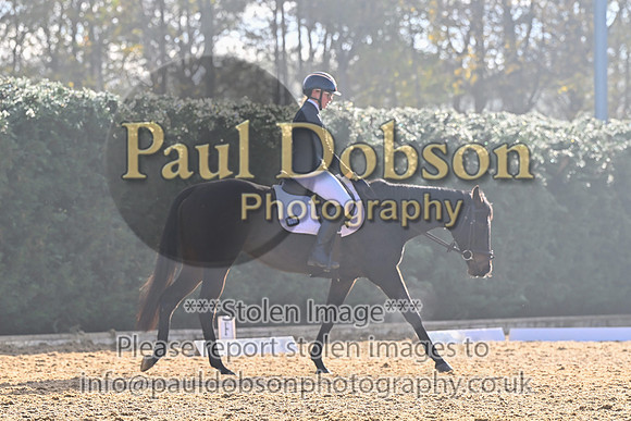 _1151921c