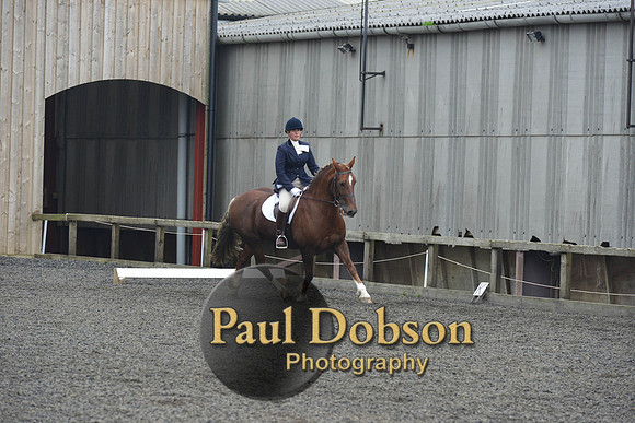 dressage-5446