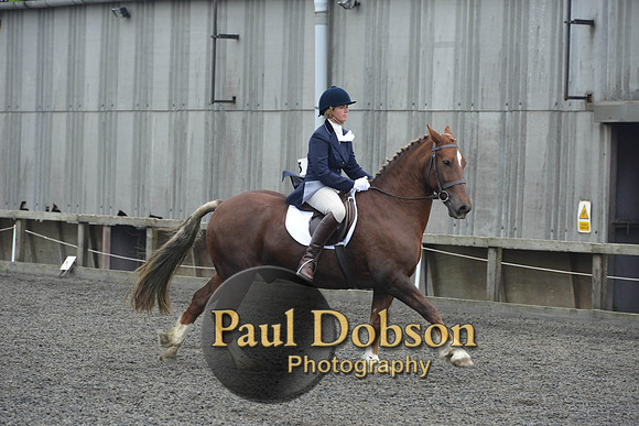 dressage-5442