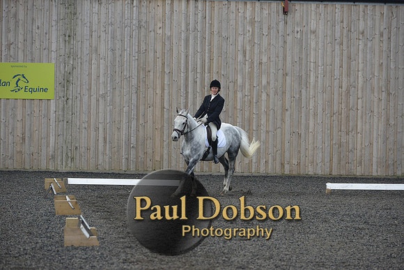 dressage-4559