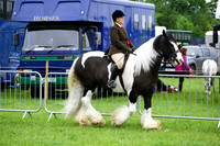 chch4293f