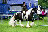 chch4291f