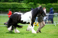 c_762794f