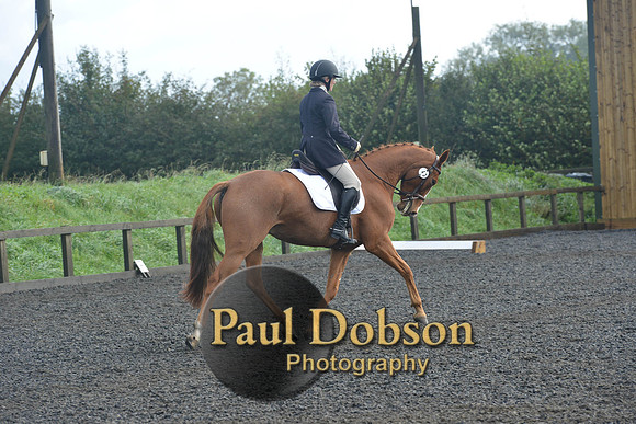 dressage-6797