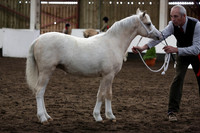 NECWPCA-422