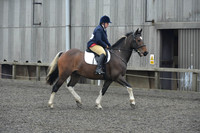 dressage-5710