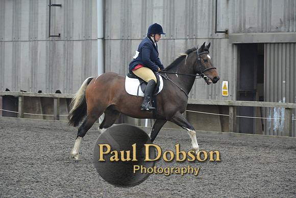 dressage-5710
