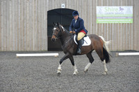 dressage-5696