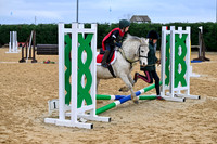 Class 2-Mini Christmas Tree Stakes