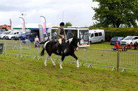 img_9491b