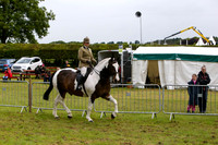 img_9488b
