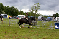 img_9497b