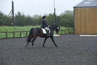 dressage-6595
