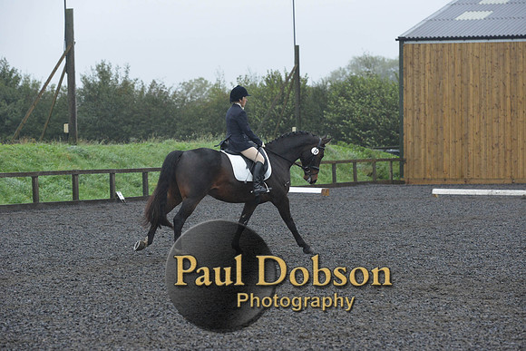 dressage-6595