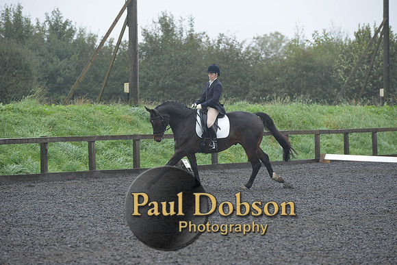 dressage-6604