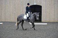 dressage-4114