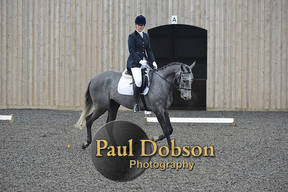 dressage-4114