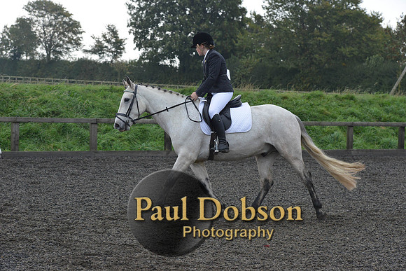 dressage-4535