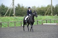 dressage-5896