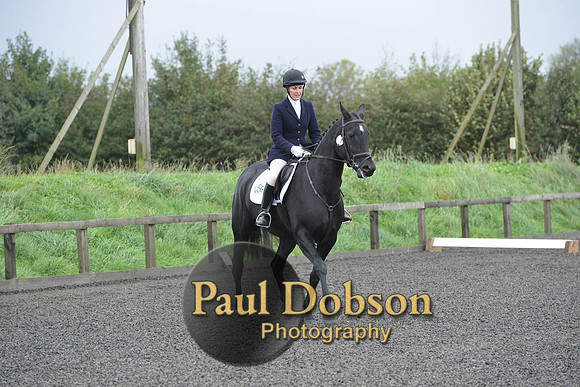 dressage-5896