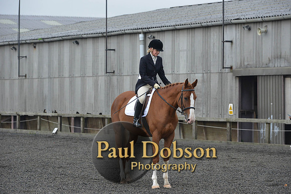 dressage-4529