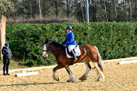 NEC Dressage Finals 7.3.26