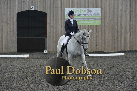 dressage-5739