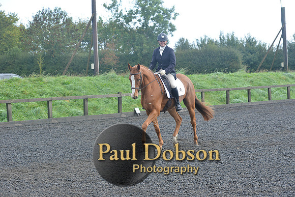 dressage-6772