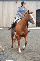 dressage-5413