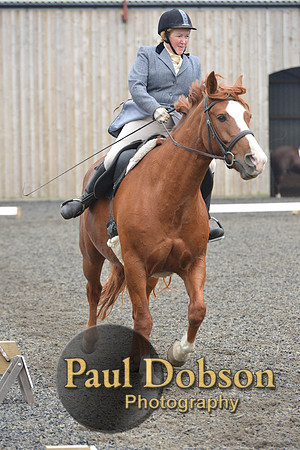 dressage-5413