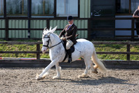Class 34 Ridden Cob