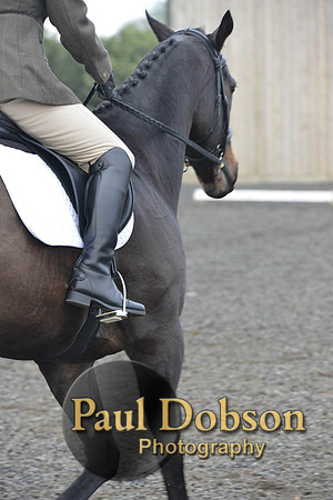 dressage-5186