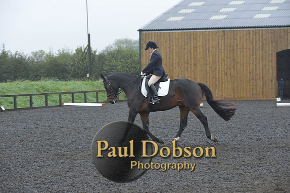 dressage-6599