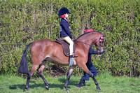C01-RIHS LR SP
