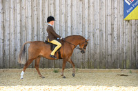 C13-Novice 133cm SHP