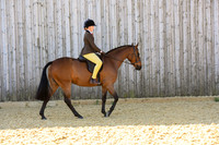 C14-Novice 143cm SHP