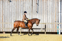 C15-Novice 153cm SHP